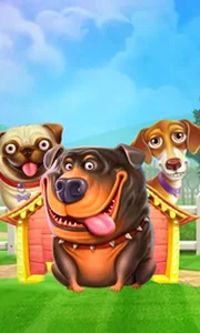 The Dog House