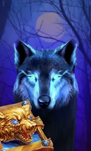 Book Of The Night Wolf